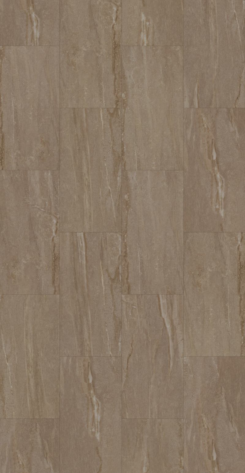 Heavyweight Bellevue