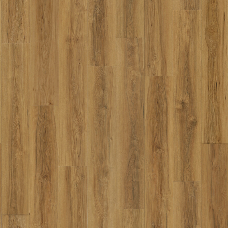 Grandview Fire Creek