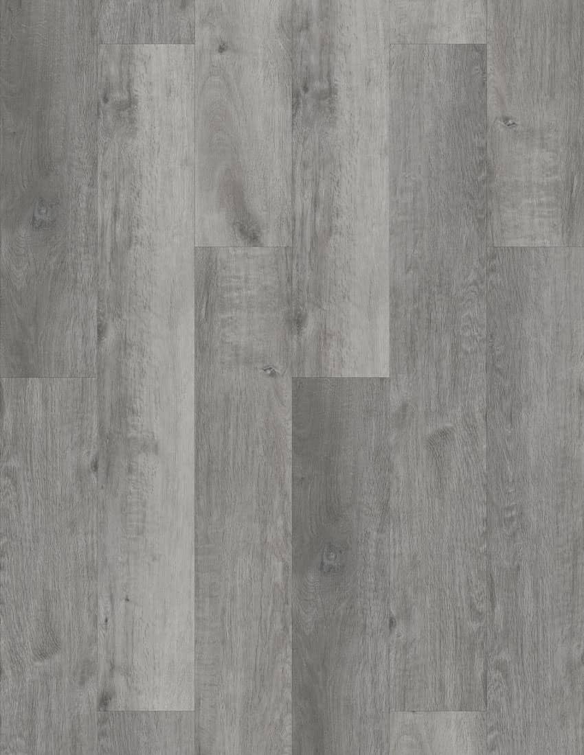 Heavyweight Carytown