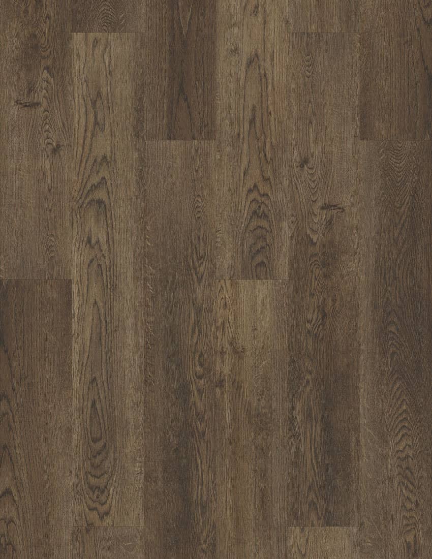 Heavyweight Carnegie