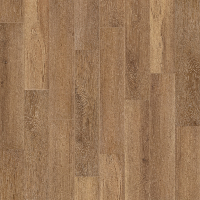 Heavyweight Dupont Circle