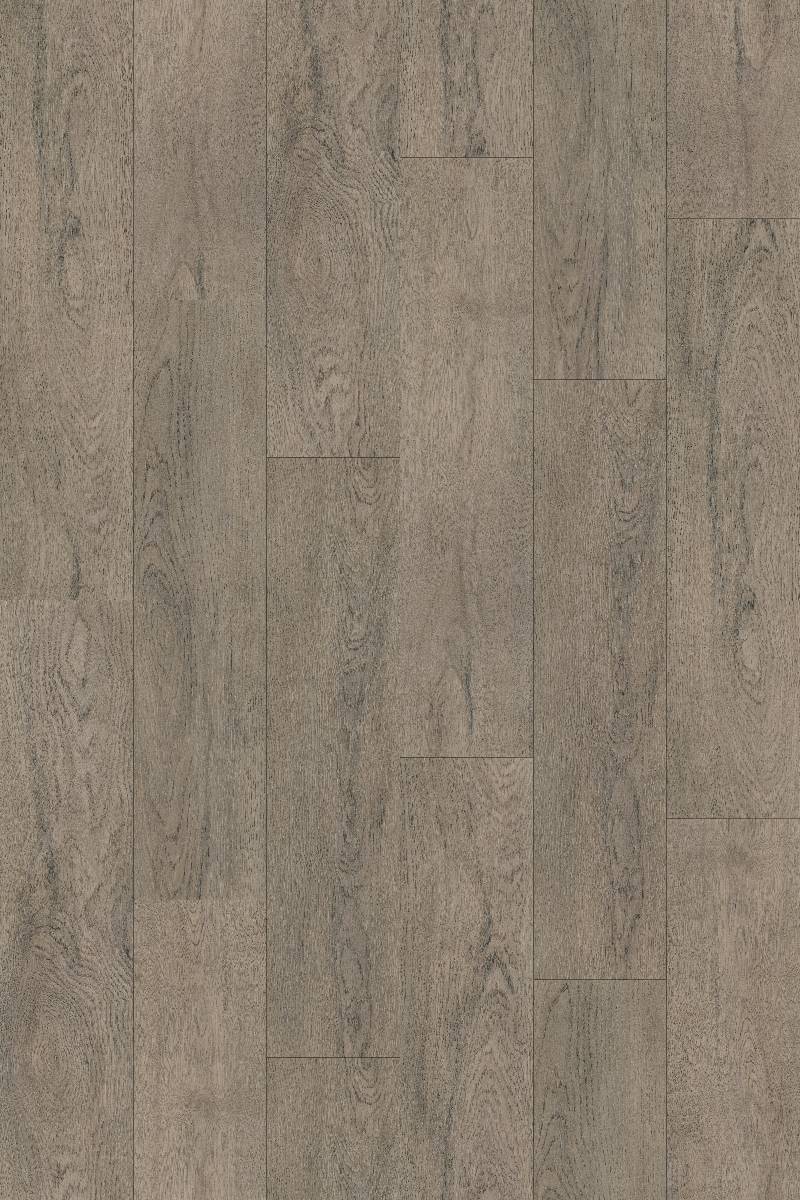 Seneca Plus Overlook