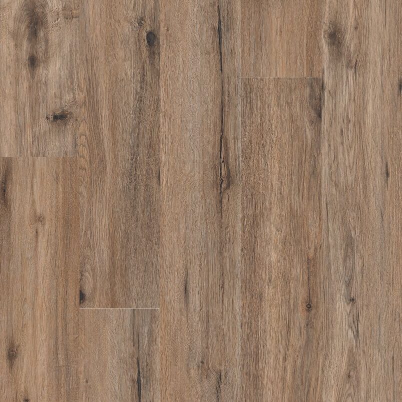 Glenridge Amer Fauna