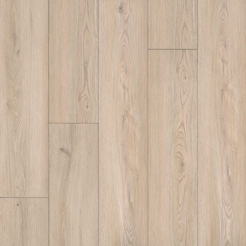 XL Cyrus Austell Grove