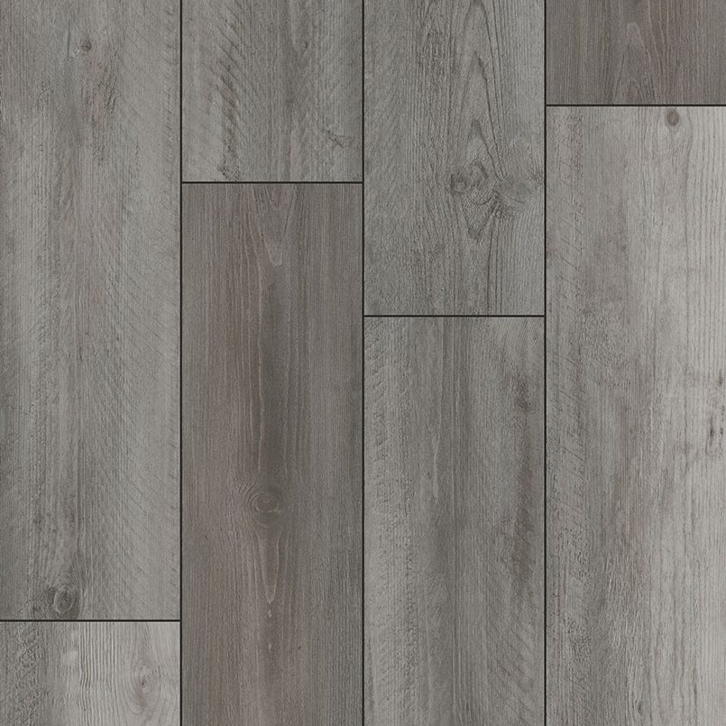 XL Cyrus Katella Ash