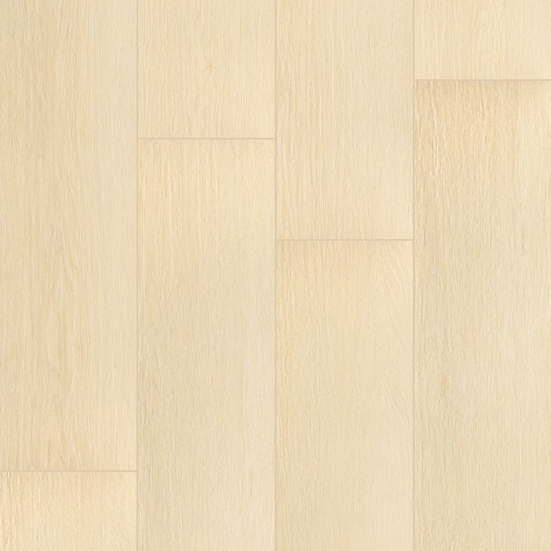 XL Cyrus Lenexa Creek