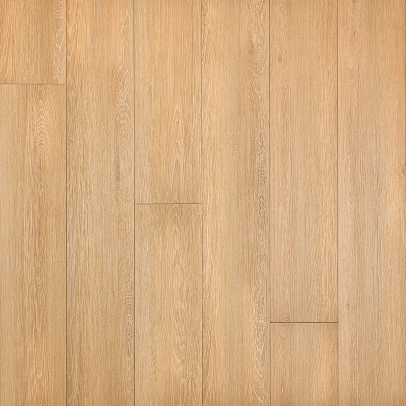 XL Cyrus Valleyview Grove