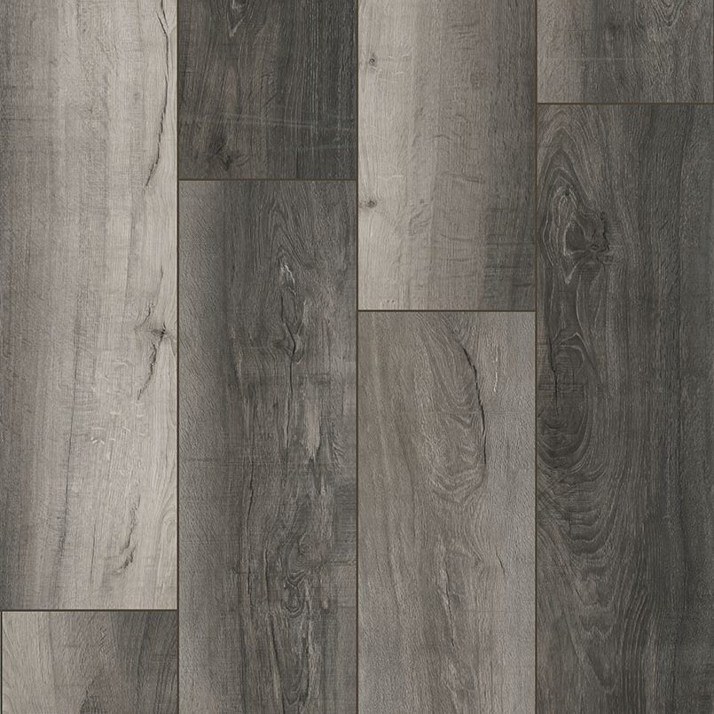 XL Cyrus Bracken Hill